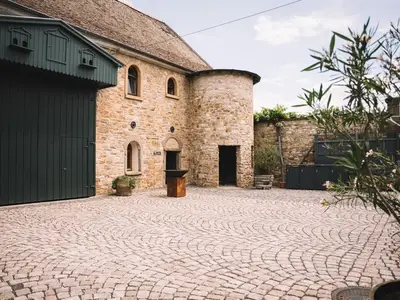Ferienhaus für 10 Personen (250 m²) in Alzey 3/10