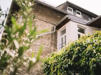Ferienhaus für 10 Personen (250 m²) in Alzey 8/10