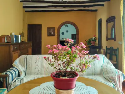 living-room