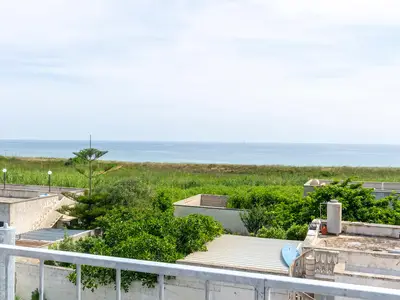 view-from-room view-from-room