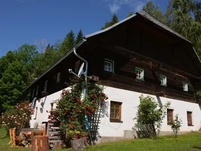 Ferienhaus für 12 Personen (270 m²) in Glödnitz 6/10