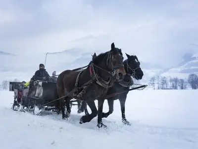 AreaWinter20KM