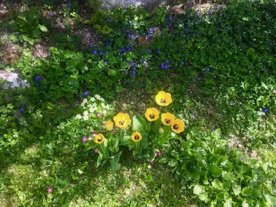 Bild 7
