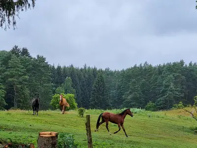 outside