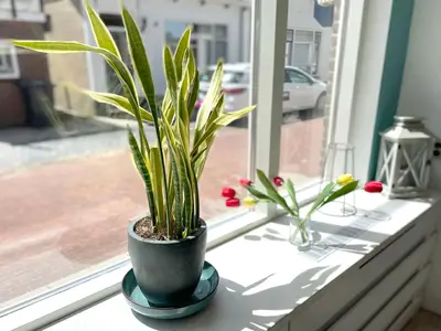Sicht auf die Straße
