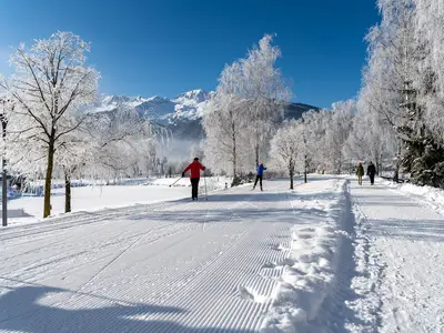 AreaWinter20KM
