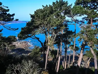 Ferienhaus für 9 Personen (150 m²) in Perros-Guirec 2/10