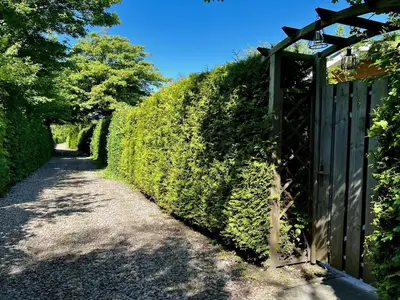 HallReception