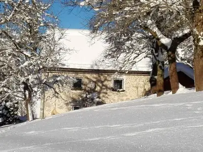 Ferienhaus für 6 Personen (90 m²) in Wald 1/10