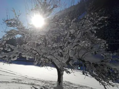 Ferienhaus für 6 Personen (90 m²) in Wald 5/10