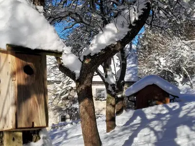 Ferienhaus für 6 Personen (90 m²) in Wald 6/10