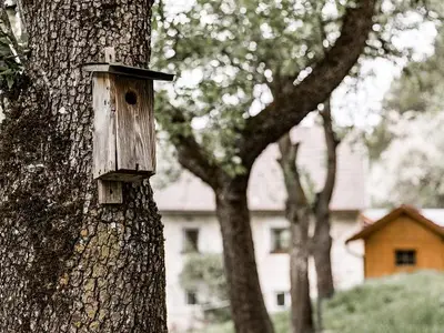 Ferienhaus für 6 Personen (90 m²) in Wald 8/10
