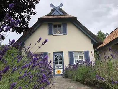 Ferienhaus für 4 Personen (92 m²) in Am Schwarzen Busch 2/10