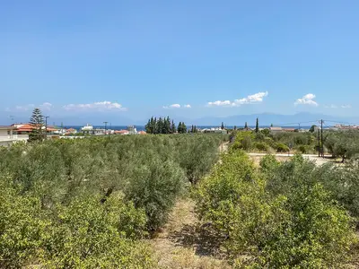 view-from-room
