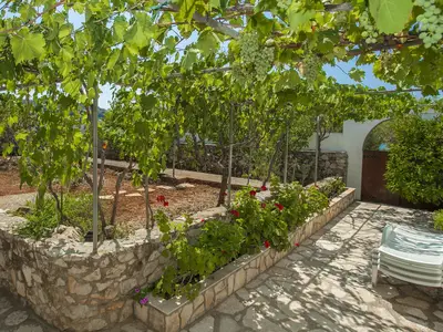 GardenSummer