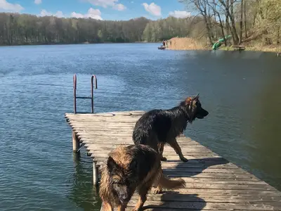 activities