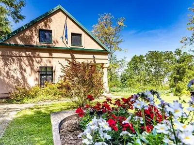 Ferienhaus für 4 Personen in Draž 3/10