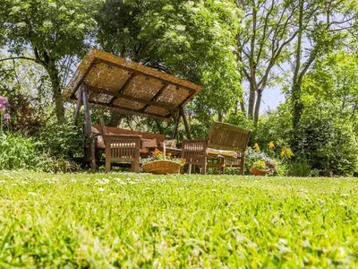 Ferienhaus für 4 Personen in Draž 10/10