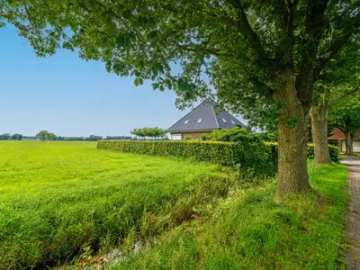 Außenseite Ferienhaus [Sommer]