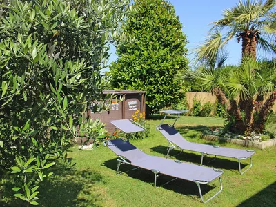 GardenSummer