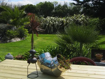 GardenSummer