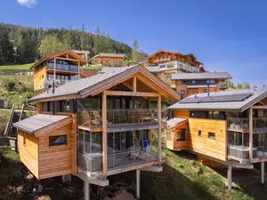 Ferienhaus für 10 Personen (120 m²) in Schladming