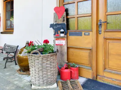 eigenerebenereinganghausrose