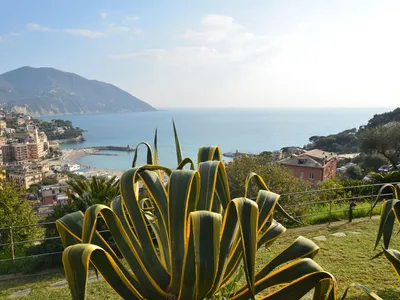 Ferienhaus für 4 Personen (60 m²) in Recco 5/10