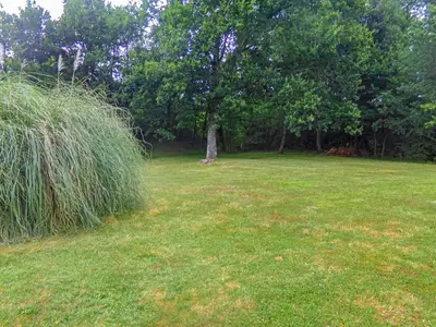 outside