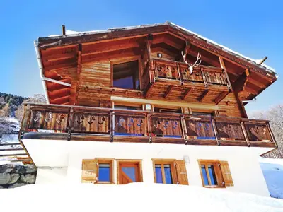 Chalet Etoile des 4 Vallees
