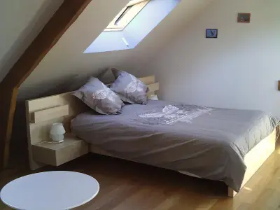 Bild 8