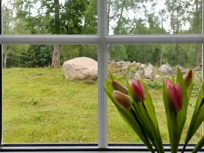 view-from-room