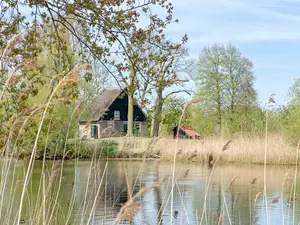 Ferienhaus für 5 Personen (80 m²) in Hooge Zwaluwe