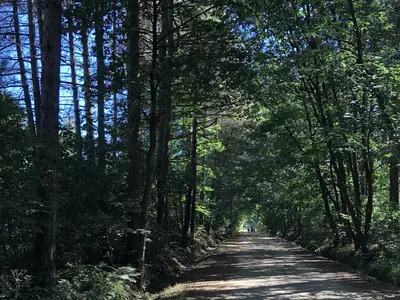 AreaSummer20KM