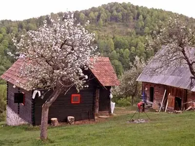 Karpaten-Hütte bei Sibiu-Hermannstadt, Transsilvanien-Siebenbürgen, Rumänien