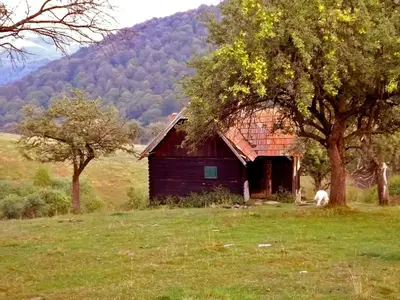 Karpaten-Hütte bei Sibiu-Hermannstadt, Transsilvanien-Siebenbürgen, Rumänien