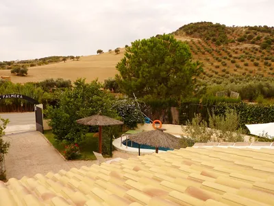 ViewSummer