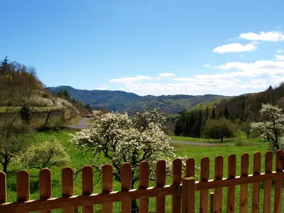 ViewSummer