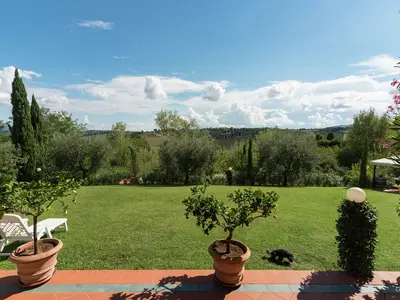 ViewSummer