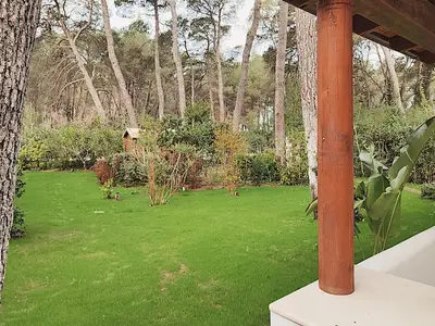 GardenSummer