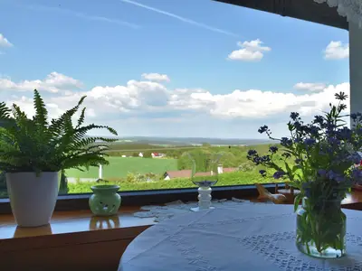 ViewSummer