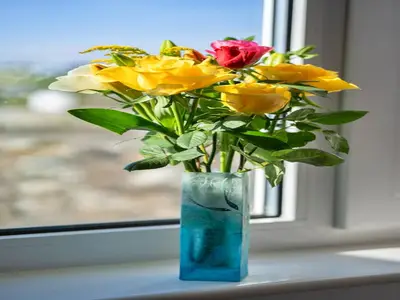 Ambiance