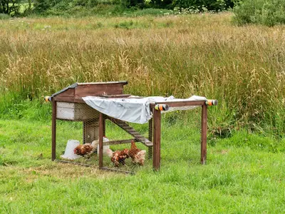 Facilities