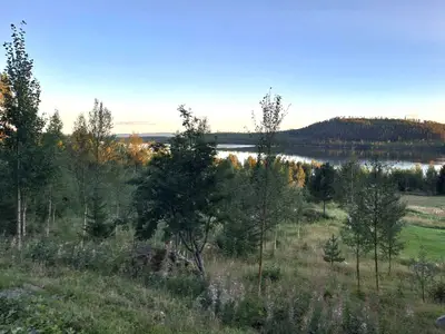 Blick zum See
