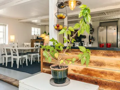 Indoor