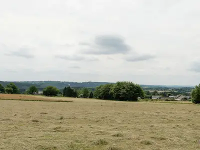 ViewSummer ViewSummer