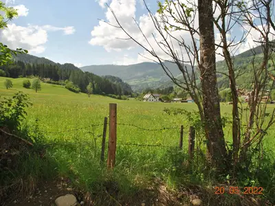 ViewSummer