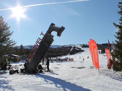 AreaWinter1KM