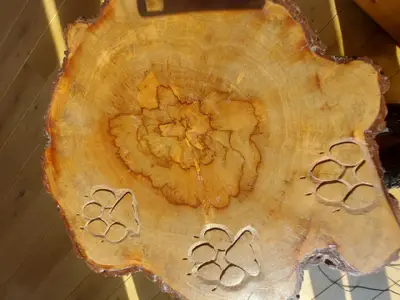 Bild 5