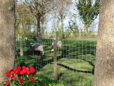 Bild 10